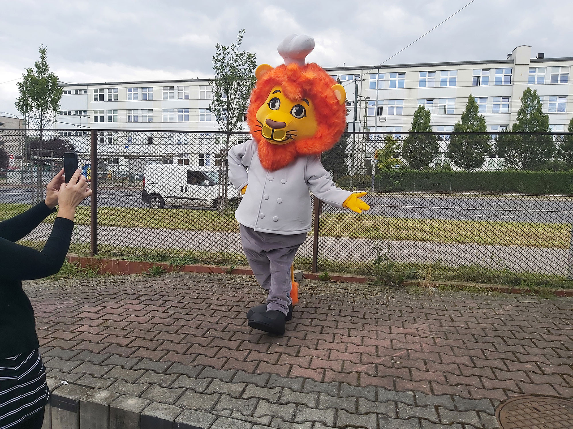Maskotka strój przebranie Lew na jednej z krakowskich ulic pozuje do zdjęcia. W tle ulica i budynek biurowy.